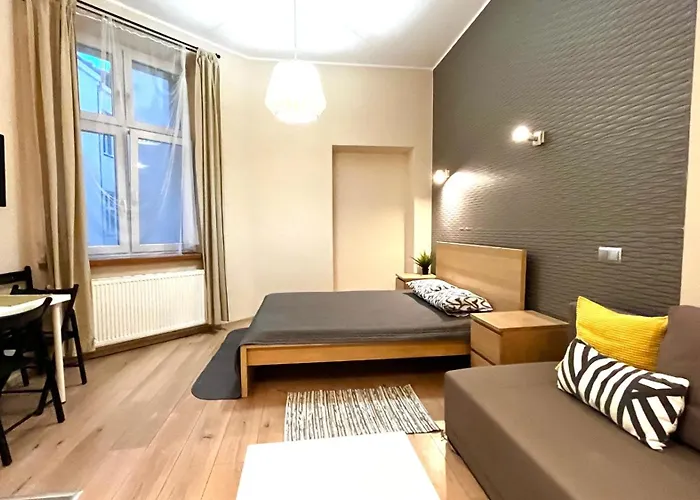 Przestronne Studio W Centrum